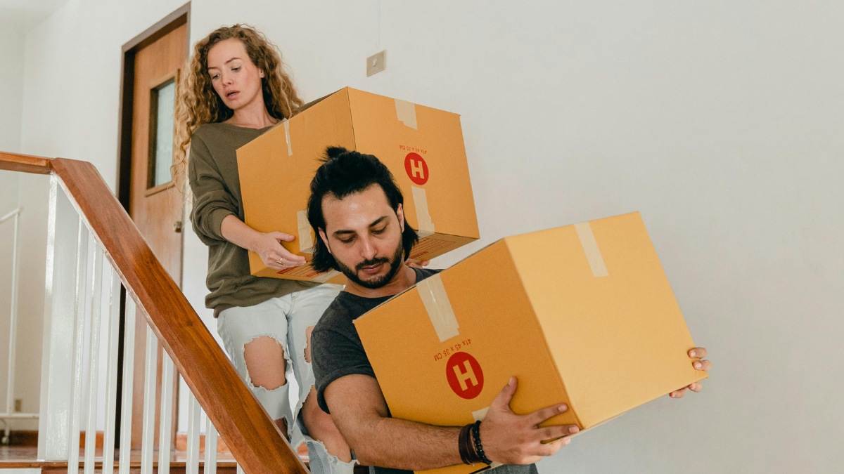 Wohnung, Haus, WG-Zimmer