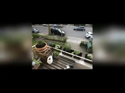 Vorschaubild 4