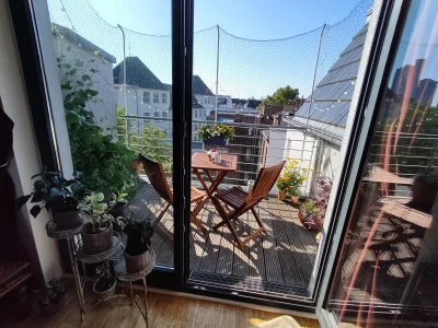 Vorschaubild 8