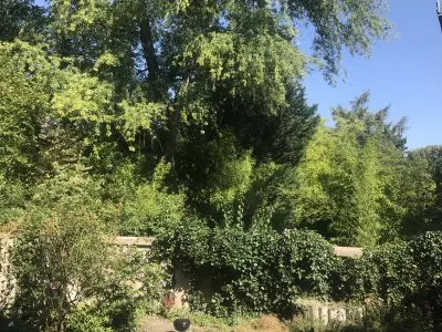 Vorschaubild 8