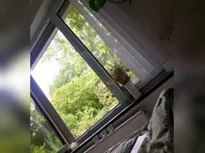 Vorschaubild 7