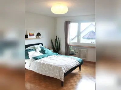 Vorschaubild 5