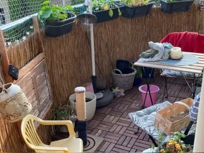 Vorschaubild 5