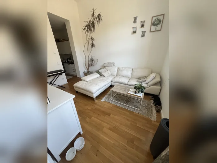 Vorschaubild 3