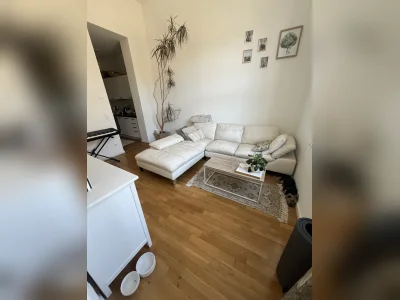 Vorschaubild 3