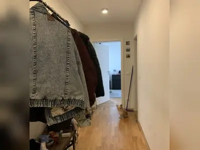 Vorschaubild 1