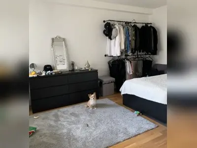 Vorschaubild 13