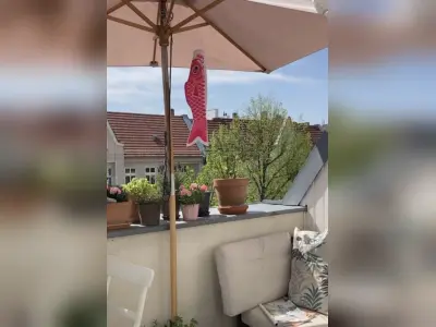 Vorschaubild 4