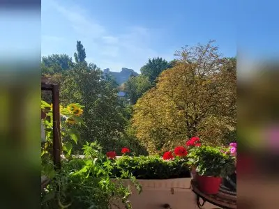 Vorschaubild 2