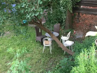 Vorschaubild 7
