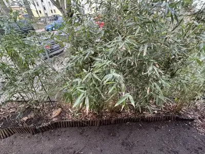 Vorschaubild 7