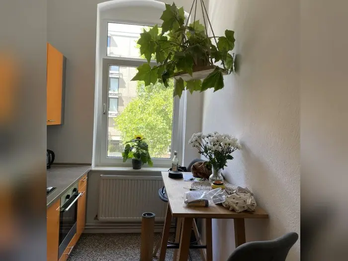 Vorschaubild 3