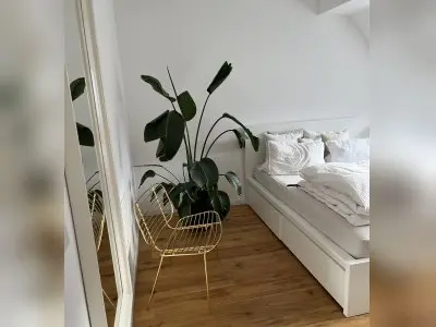 Vorschaubild 3