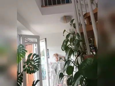 Vorschaubild 3