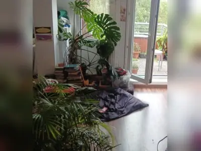 Vorschaubild 2