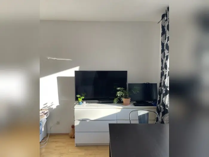 Vorschaubild 5