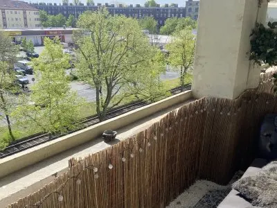 Vorschaubild 5