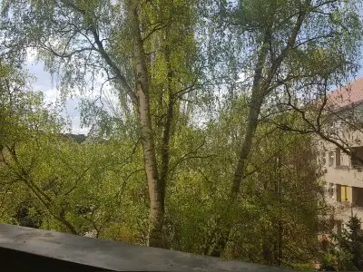 Vorschaubild 8