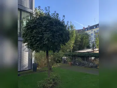 Vorschaubild 2