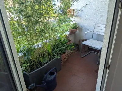 Vorschaubild 4