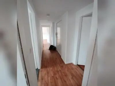 Vorschaubild 5