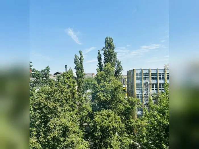 Vorschaubild 9