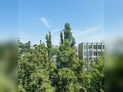 Vorschaubild 9