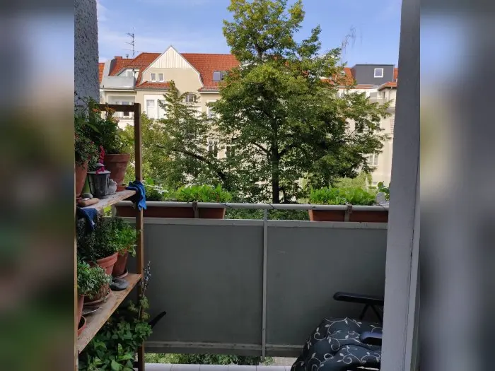 Vorschaubild 5