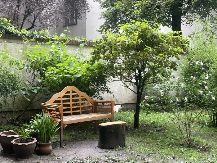 Vorschaubild 7
