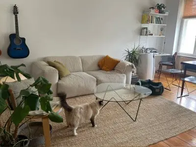 Vorschaubild 1