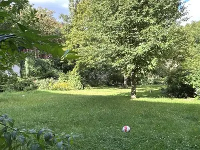 Vorschaubild 8