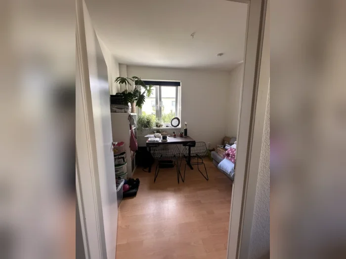 Vorschaubild 2