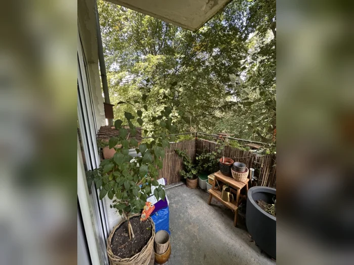 Vorschaubild 5