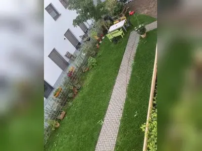 Vorschaubild 3