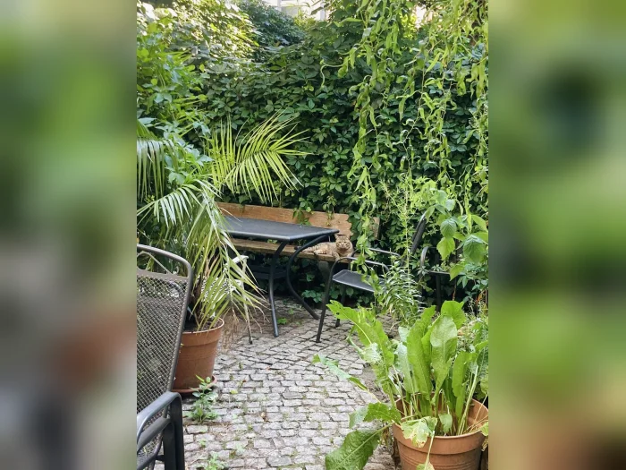 Vorschaubild 4