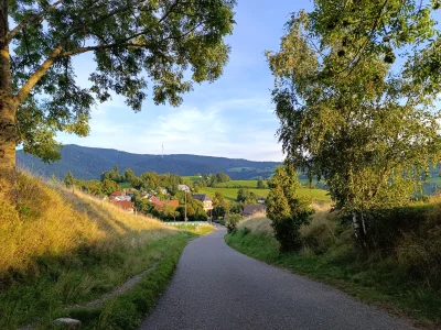 Vorschaubild 5