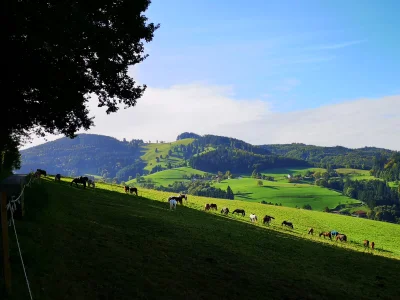Vorschaubild 6