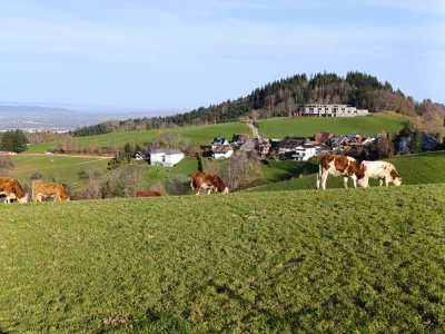 Vorschaubild 7