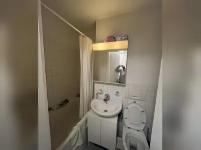 Vorschaubild 7