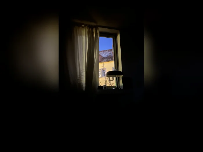 Vorschaubild 7