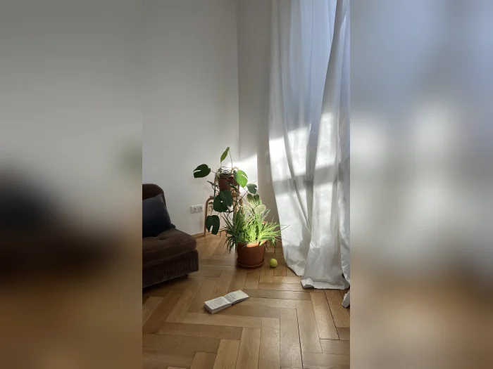 Vorschaubild 5
