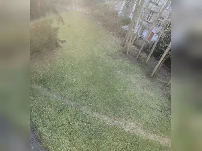Vorschaubild 11