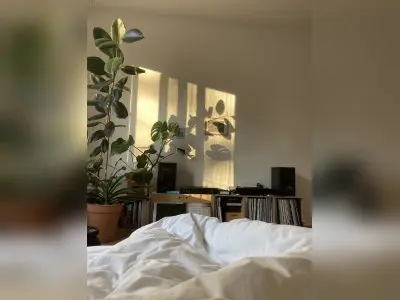 Vorschaubild 7