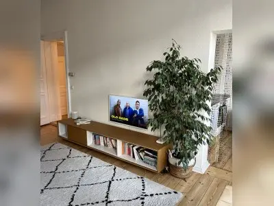 Vorschaubild 7