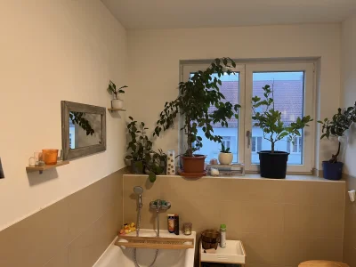 Vorschaubild 7