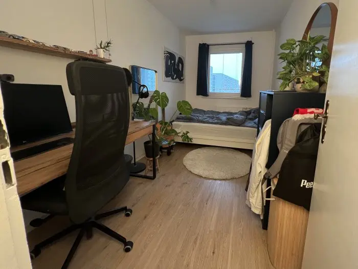 Vorschaubild 4
