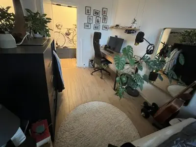 Vorschaubild 3