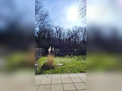 Vorschaubild 5