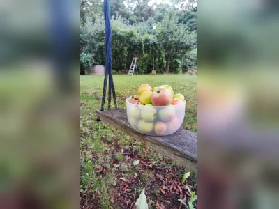 Vorschaubild 4