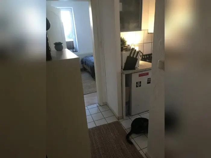 Vorschaubild 1